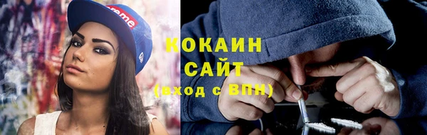 винт Алзамай
