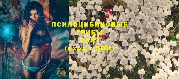 винт Алзамай